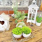 Sonnenring Mini