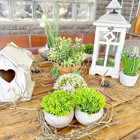 Sonnenring Mini